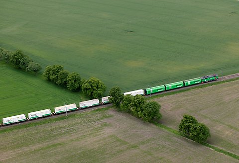 Train in nature