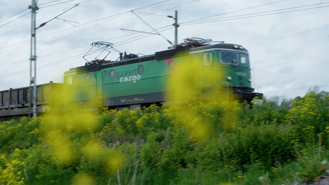 train-passing-field
